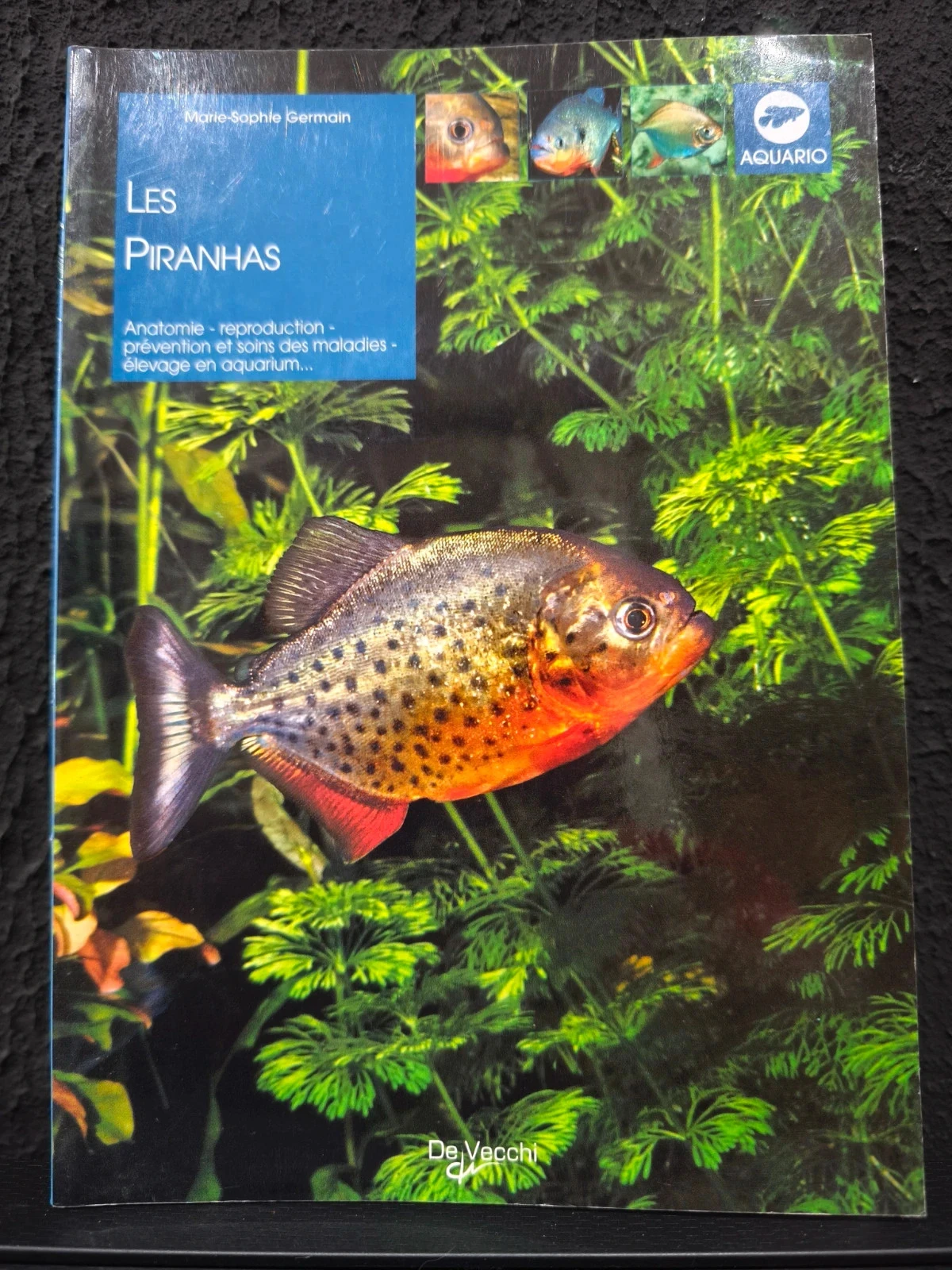 Les piranhas